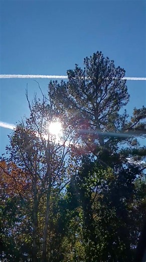 Well the camtrails are back, somebody got funded somehow. | Jimmy Hodges