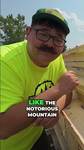 The Surprising Reason Pine Gets Blue Streaks! #bluestain #bluestainpine