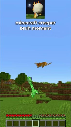 minecraft creeper bruh moment 🌿👺💀