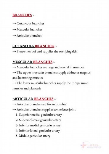 Popliteal artery notes 🗒️ANATOMY ‪@medicalconcepts28‬