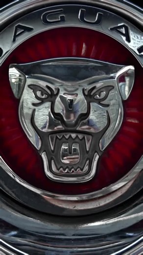 🔥 Upgrade your ride with the perfect number plate! 🔥 Done in 30 mins. Yours for just $475! 🚗💨 - DM to order! #NumberPlates #UpgradeYourRide #StayFresh #CarGoals #ProntoPlates