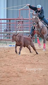 13K views · 1.2K reactions | The 2025 NFR Calf Break-In is now available on Roping.com  Watch it here  https://bit.ly/3Kcrjr8 | Roping.com | Facebook