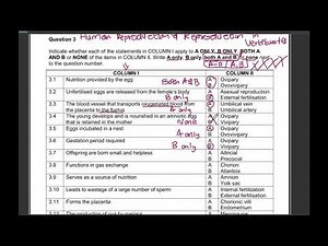 Grade 12 Human Reproduction Terminology Exam (Answered) Reproduction in Vertebrates| Past Paper