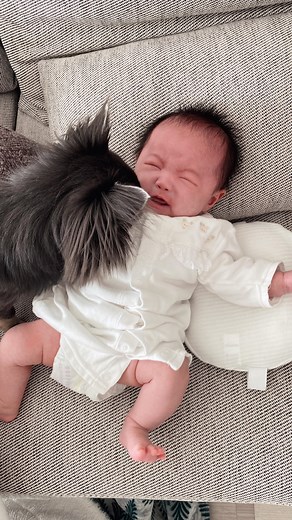 なつぴぴ on Instagram: "昨日載せたストーリーが共感の嵐だったので、実況風にしてみました😂 育児や家事、お仕事、学校、その他さまざま！ 皆さま毎日お疲れ様です！ . . . #新米ママ #生後1ヶ月 #新生児 #女の子ママ #女の子ベビー #育児日記 #夜泣き #生きてるだけで丸儲け #赤ちゃんのいる生活 #あかちゃんのいる生活 #ベビぴぴ"