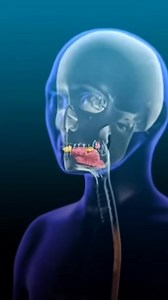 These a re the sole benefits of eating watermelon daily #watermelon #melon #fruits #DidYouKnow #healthtips | Slimmingsquad1