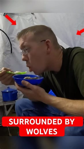 Camping With His Sister… Then Wolves Surrounded Them 🐺😱#shorts