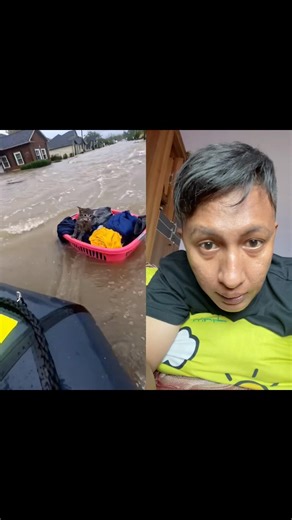 This cat was trapped in a flood on top of a laundry basket. #cat #rescueefforts #cute