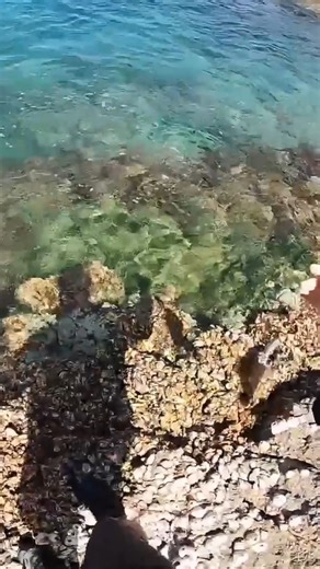 Even the fishing guide was shocked!!!! | Cavy Fishing