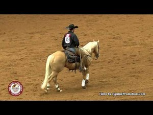 2017 World's Greatest Horseman Champions Heza Diamond Spark and John Swales