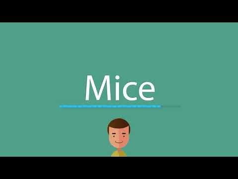 Mice pronunciation