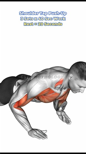 Build Muscle and Forge a Rock-Solid Core 🔥