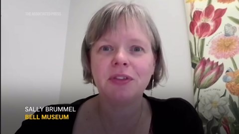 The Geminids are one of the strongest meteor showers of the year