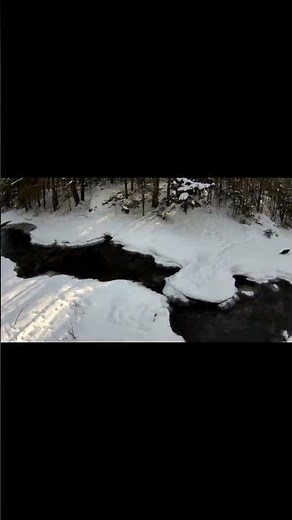 🦦❄️River Otter Playing on Fresh Ice - 9 F | McCaslin Brook Live Web Cam Wisconsin #wildlife