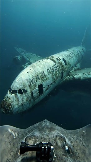 Giant Stingray with an Action Camera Discovers a Lost Passenger Plane #GoProPOV #LostPlane
