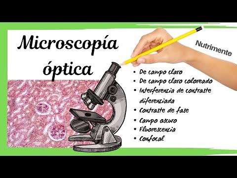 Optical Microscopy - Types of microscopes and examination of a histological preparation