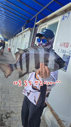 만정사계절바다낚시터 #영종도낚시터 #가족낚시터 #초보낚시터 #우럭낚시 #도다리낚시 #영종도여행 #농어낚시 #대방어 #대광어 #참돔낚시 #감성돔낚시 #돌돔낚시 #자바리 #민어