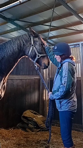 584K views · 17K reactions | OK,let's address the weaver in the...