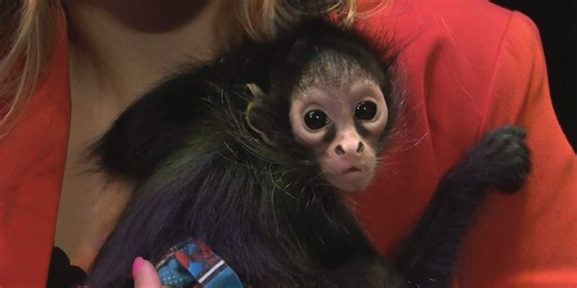 Wildlife biologist shares passion for animals at SEWE