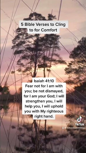 5 Bible Verses to Cling to for Comfort