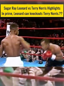Sugar Ray Leonard vs Terry Norris Highlights #boxing | Nikolas Mata