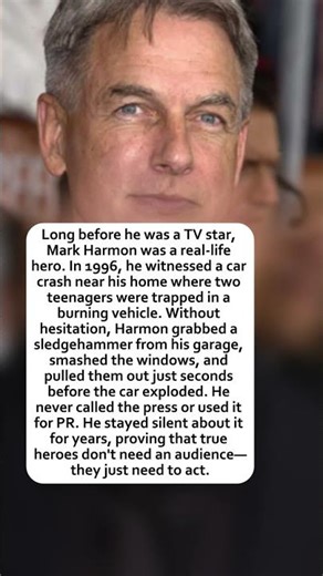 Mark Harmon The Hero Next Door