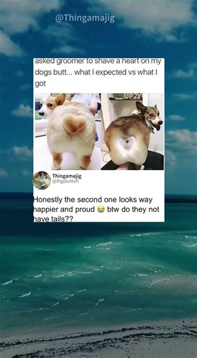 #tutorialyoutube🙂