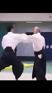Aikido old school | Aikido San Luis