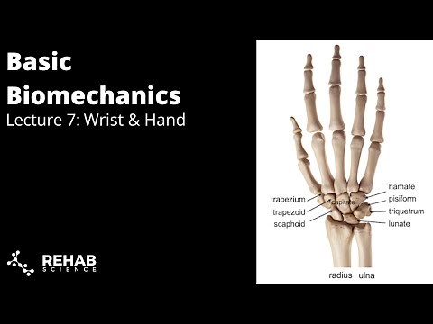 Biomechanics Lecture 7: Wrist & Hand