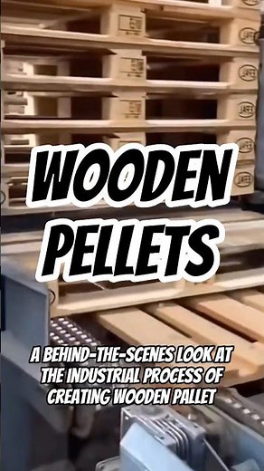 How Wooden Pallets Are Made 🪵