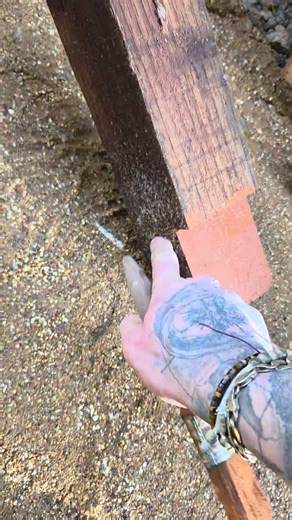 Treat your cuts before installing timber!
