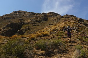 Trail Building tips for adding challenge