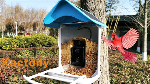 Watch Assembling and installing the bird feeder on Amazon Live