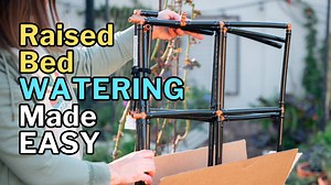 Learn exactly how to water raised beds so plants thrive and you save water. I walk through my watering grid setup, what I do at the start of each season, and the simple tests I use to decide how much and how often to water in a hot, dry climate. What I cover • The grid method: even coverage, fewer dry pockets • How to set watering depth targets (about 20–30 cm / 8–12 in) • Simple soil checks to avoid over and underwatering Resources • How to Water Your Garden: https://growinginthegarden.com/how-