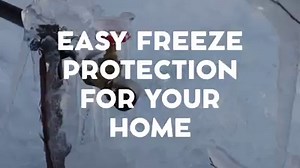 56 reactions · 33 shares | Freeze Miser is simple to install and is the ideal solution for protecting your home, buildings and grounds against freeze damage. | Freeze Miser | Facebook