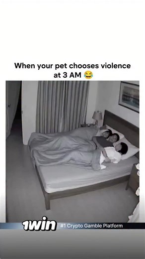 Explore World on Instagram: "This post features a 20-second AI-generated video styled as security footage, depicting a cat suddenly panicking in a bedroom, leaping onto a sleeping couple's bed, scattering pillows, and toppling objects in chaotic frenzy, captioned in Japanese as "Cat panics and runs wild lol, maybe scarier than supernatural stuff lol." The video includes an "InVideo" watermark and unnatural movements, confirming it's created with InVideo AI tool, as identified in thread replies i