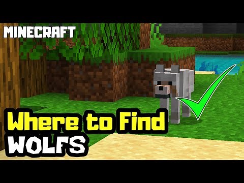 Where to Find Wolfs in Minecraft!