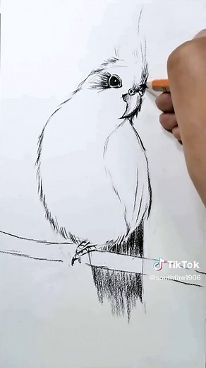 Learn How to Draw a Parrot | Easy and Detailed Tutorial
