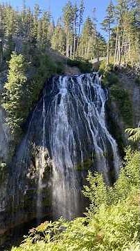 Easy Mount Rainier National Park Hike No. 5 #mtrainier #mountrainier #usnationalparks #hikes