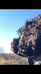 Sunny Beach Vibes 🌊 | Off-Season Adventures with Miss Pepper Poo