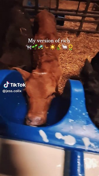 #agriculture #yf #yfc #fyp