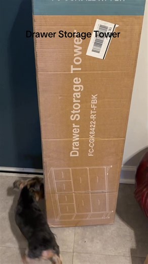 Maximize Your Closet with a Drawer Storage Tower