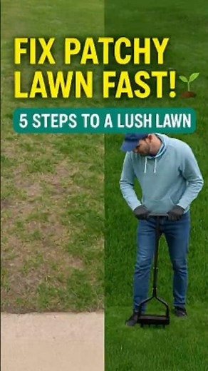 Spring Lawn Fix Techniques (that ACTUALLY WORK)