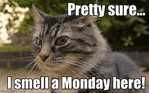 12 reactions | How does your Monday smell?  Check out the amazing variety of crafts we have for you this week at Hochanda  https://bit.ly/3bLffaM | The Craft Store | Facebook