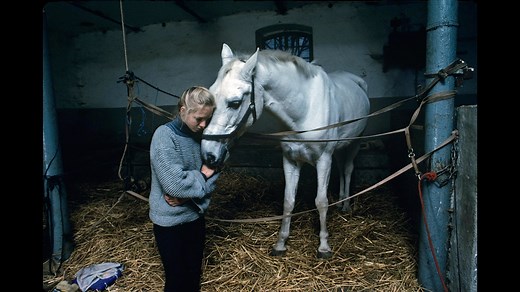 直击心灵的力量，全网最全史蒂夫·麦凯瑞（Steve McCurry ）摄影集