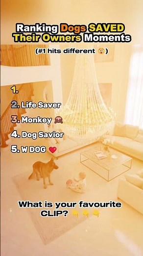 Ranking Dogs SAVED Their Owners Moments 🐶❤️