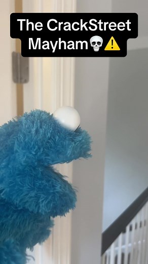 The True Aftermath of Sesame Street