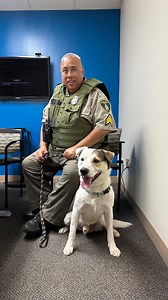 UPDATE ON ZUKO: Mahalo to our animal-loving community for rallying together for Zuko, the dog shown being subjected to a vicious beating on a video that has been widely posted on social media. We’re happy to share that Zuko is now safe in our care. While we continue to monitor him closely for any potential internal injuries resulting from his traumatic experience, we’re encouraged that Zuko’s resilient spirit shines through as he receives round-the-clock care and plenty of love from our team. He