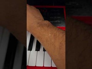 Need a sampler for your keyboards? Contact us.