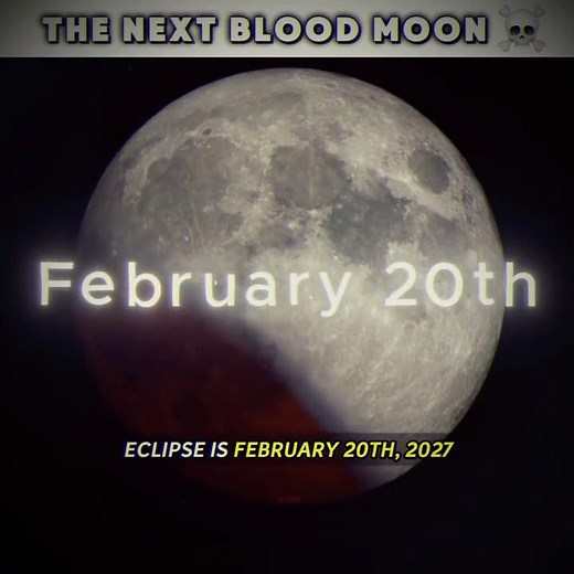 If You Missed The Blood Moon, Here's When Next