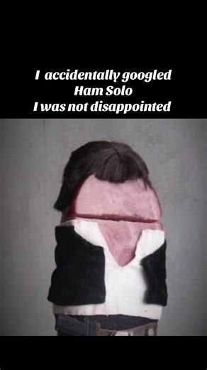 Funny l accidentally googled Han Solo and was not disappointed joke from Woolymum #meme #jokes #funnymemes #starwars #ham